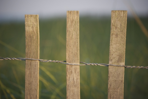 wooden fence on the beach