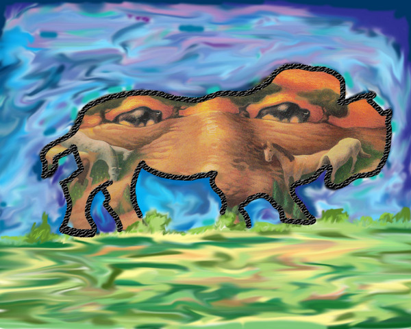Bison
