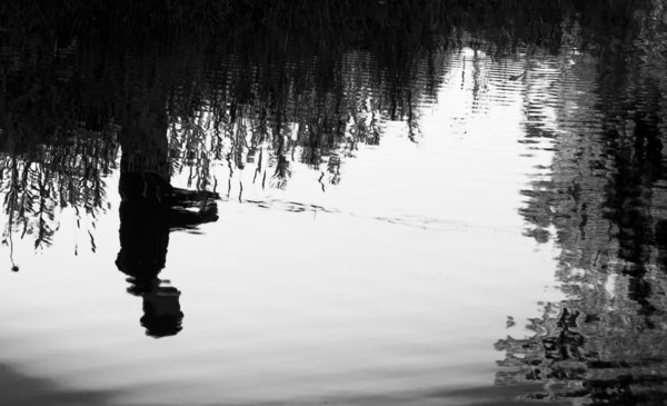 Water Reflection