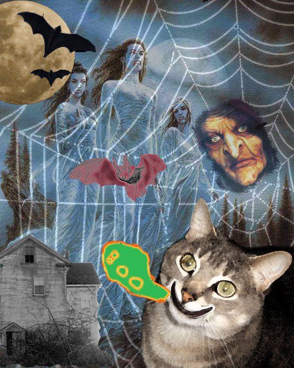 Felicia's Halloween cat Montage