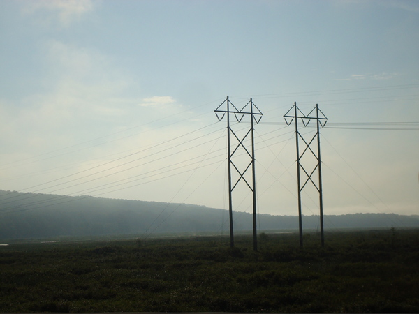 Conneaut Marsh