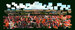 Broken Panorama