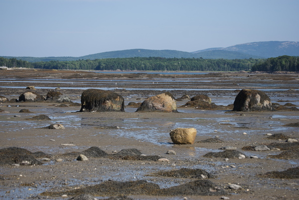 low tide