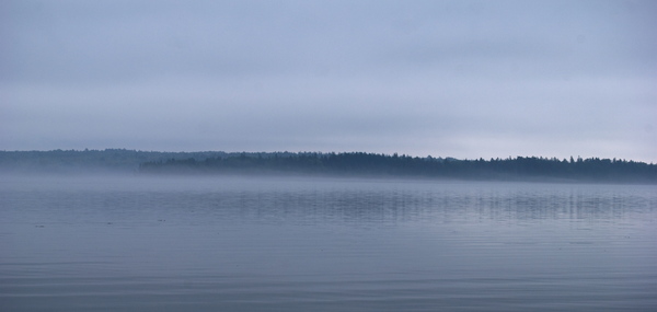 Bar Harbor fog