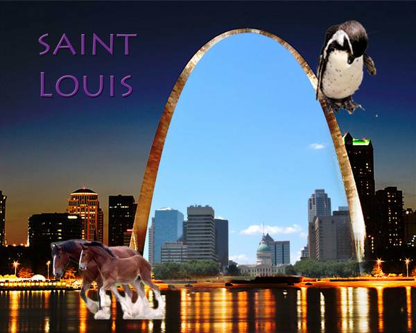 Saint Louis Arch