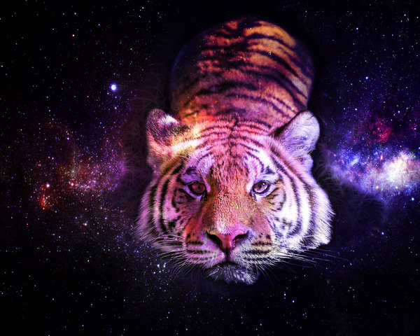 Space with a Chance of Rawr